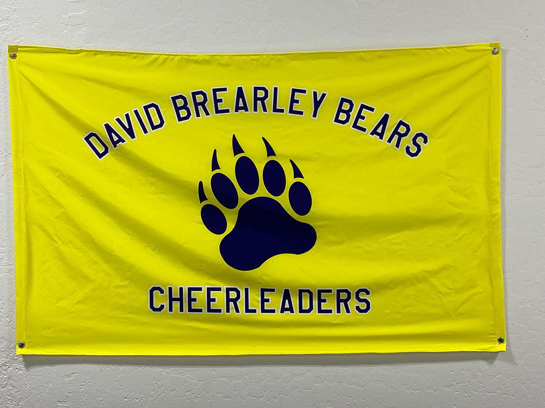 Cheerleader 3x5 custom flag